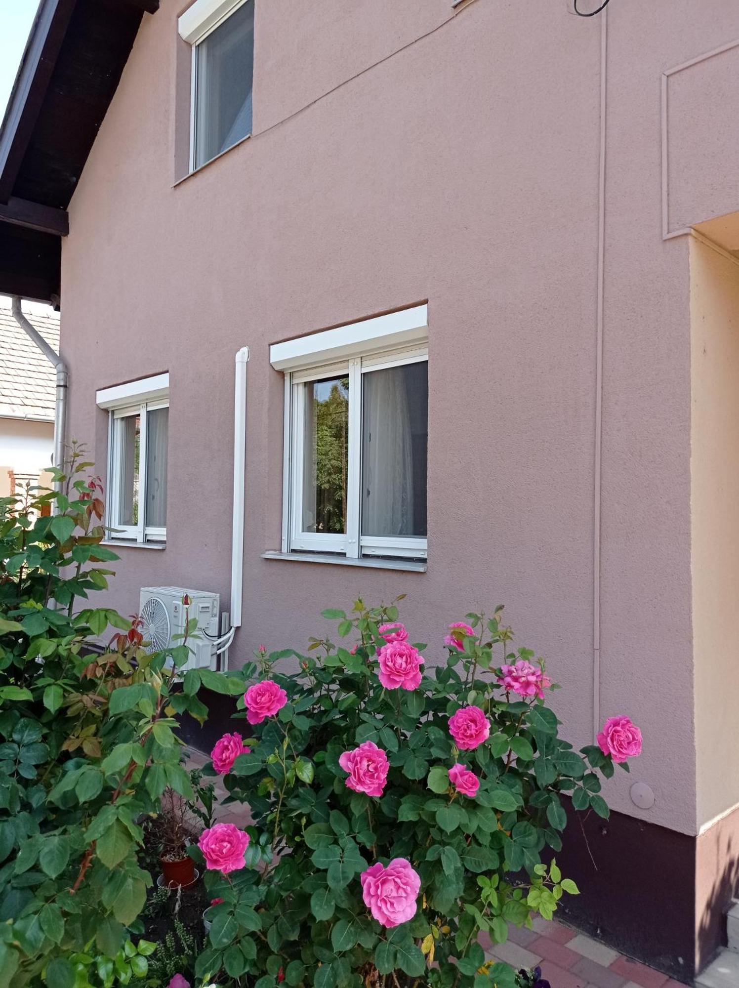 Partifecske Vendeghaz Hotel Tiszafüred Exterior foto